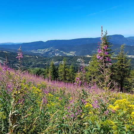 Duplex 59M2 - Proche Centre - Balcon Plein Sud Lejlighed Corrençon-en-Vercors Eksteriør billede