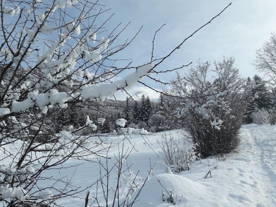 Duplex 59M2 - Proche Centre - Balcon Plein Sud Lejlighed Corrençon-en-Vercors Eksteriør billede