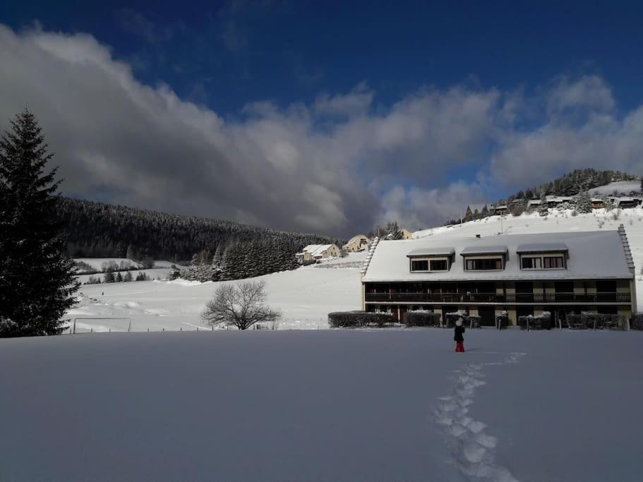 Duplex 59M2 - Proche Centre - Balcon Plein Sud Lejlighed Corrençon-en-Vercors Eksteriør billede