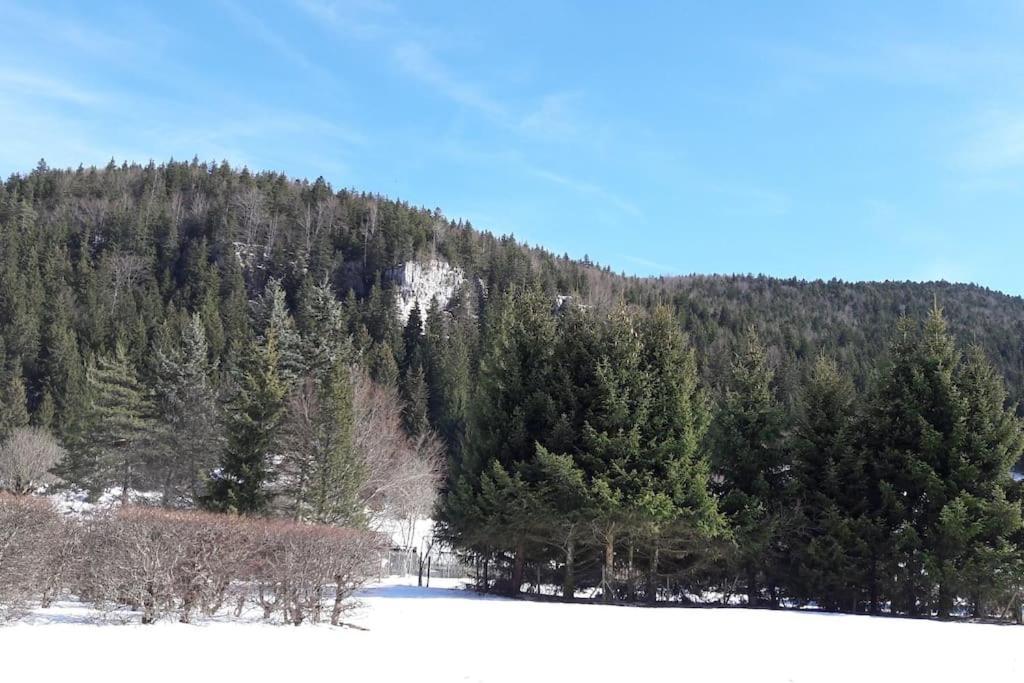 Duplex 59M2 - Proche Centre - Balcon Plein Sud Lejlighed Corrençon-en-Vercors Eksteriør billede