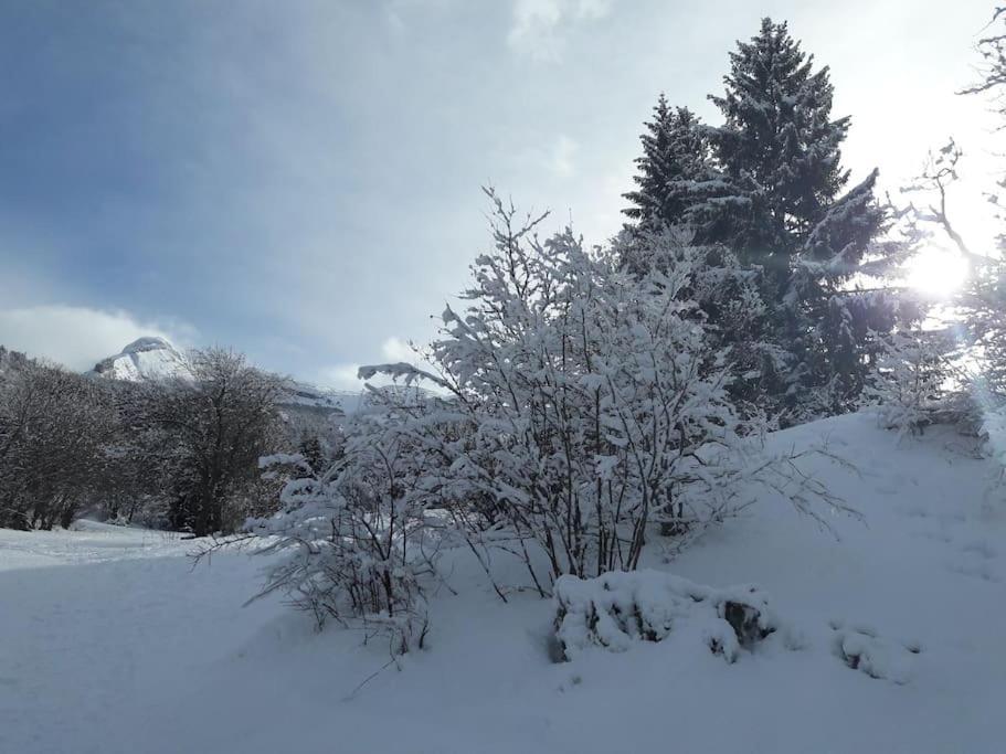 Duplex 59M2 - Proche Centre - Balcon Plein Sud Lejlighed Corrençon-en-Vercors Eksteriør billede