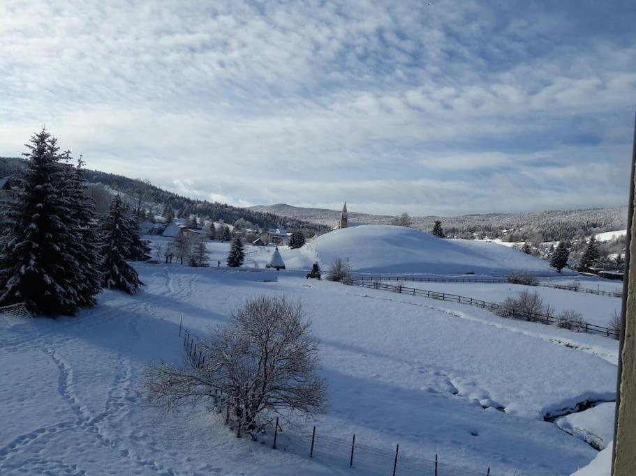 Duplex 59M2 - Proche Centre - Balcon Plein Sud Lejlighed Corrençon-en-Vercors Eksteriør billede