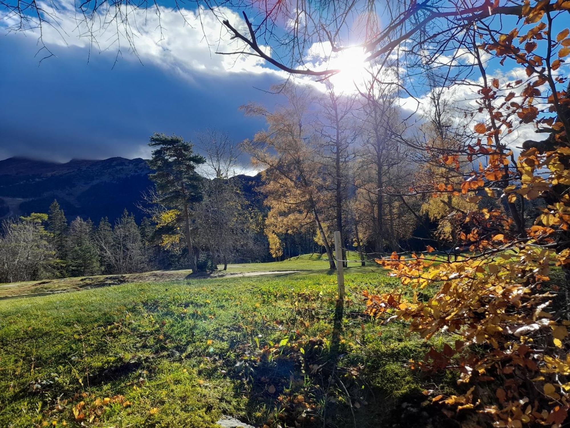 Duplex 59M2 - Proche Centre - Balcon Plein Sud Lejlighed Corrençon-en-Vercors Eksteriør billede