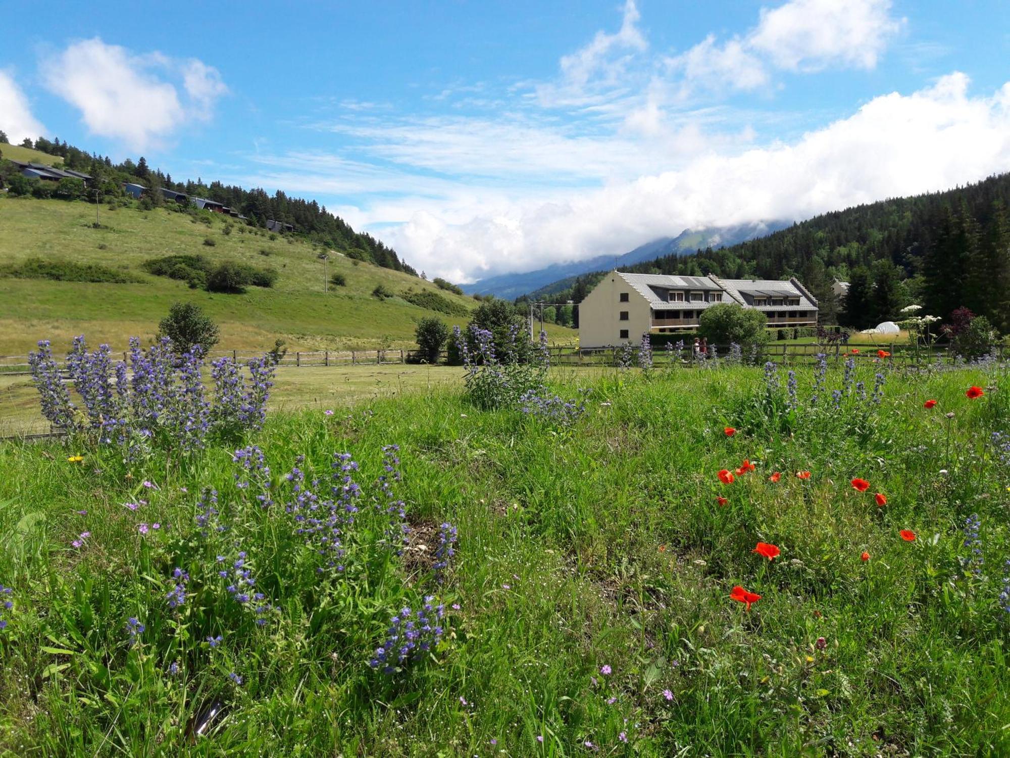 Duplex 59M2 - Proche Centre - Balcon Plein Sud Lejlighed Corrençon-en-Vercors Eksteriør billede